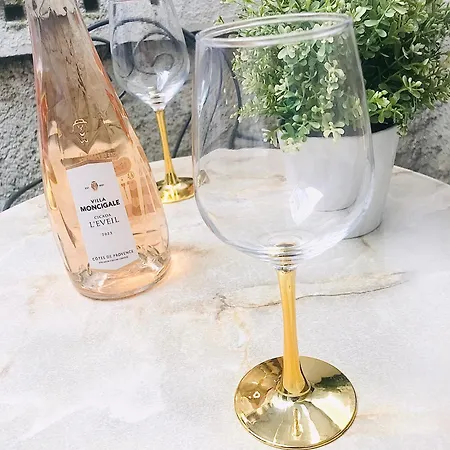 Le Pastore Hypercentre Avec Terrasse Appartamento