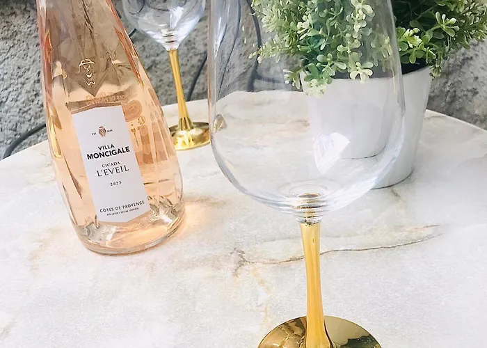 Le Pastore Hypercentre Avec Terrasse Apartment